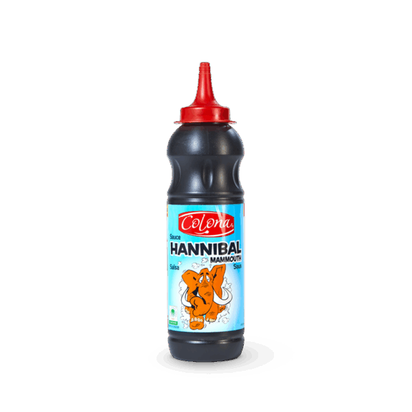Fles Hannibal 500ml